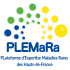Logo-PLEMaRa-PNG